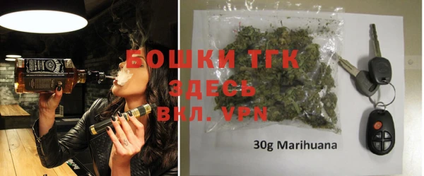 крисы Бронницы
