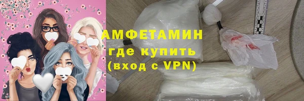 дмт Бородино