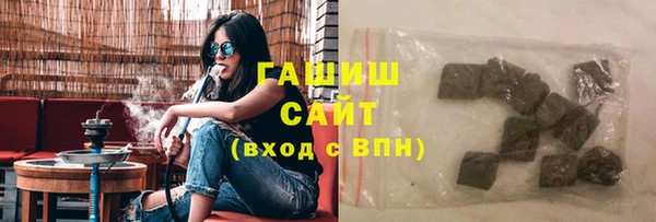 дмт Бородино