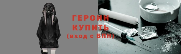 дмт Бородино