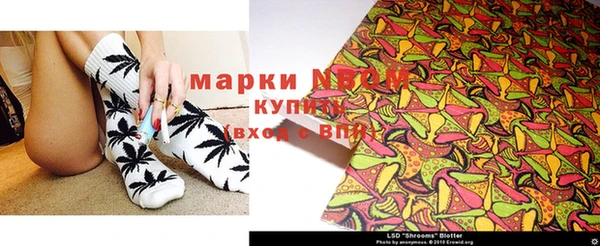 дмт Бородино
