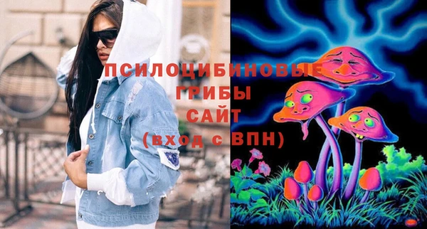 дмт Бородино