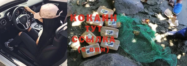 крисы Бронницы