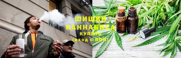 крисы Бронницы