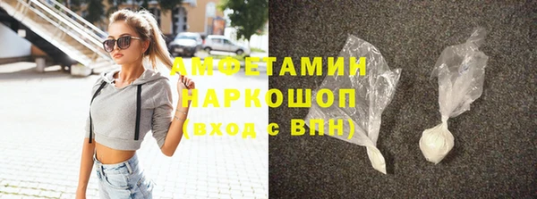 дмт Бородино