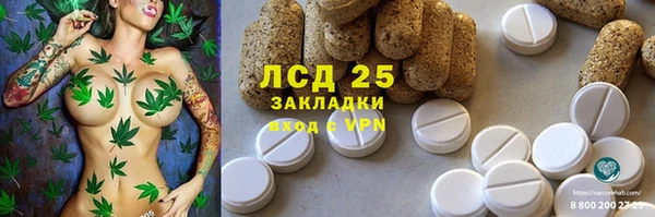 крисы Бронницы